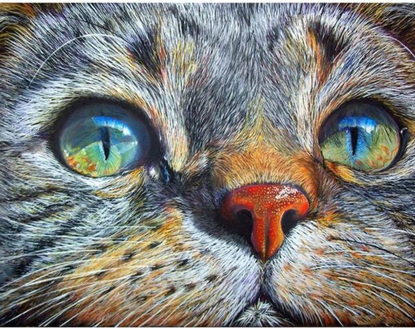 diamond painting il gatto